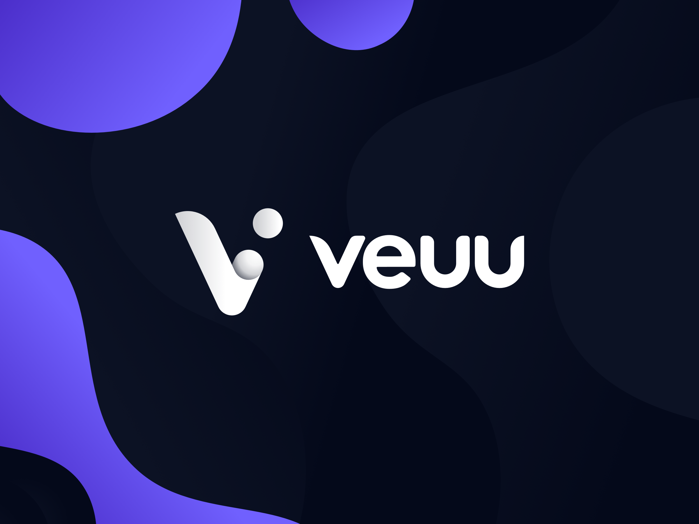 Veuu announces Partnership with Florida Medical Association to facilitate instant payments for physicians.